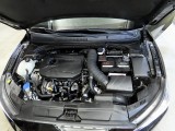 Hyundai Veloster (JS) 1.6 Turbo Sport Core 2019 18